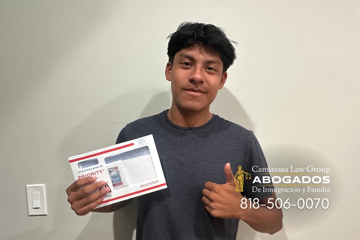 Galería de Nuestros Clientes Satisfechos 252